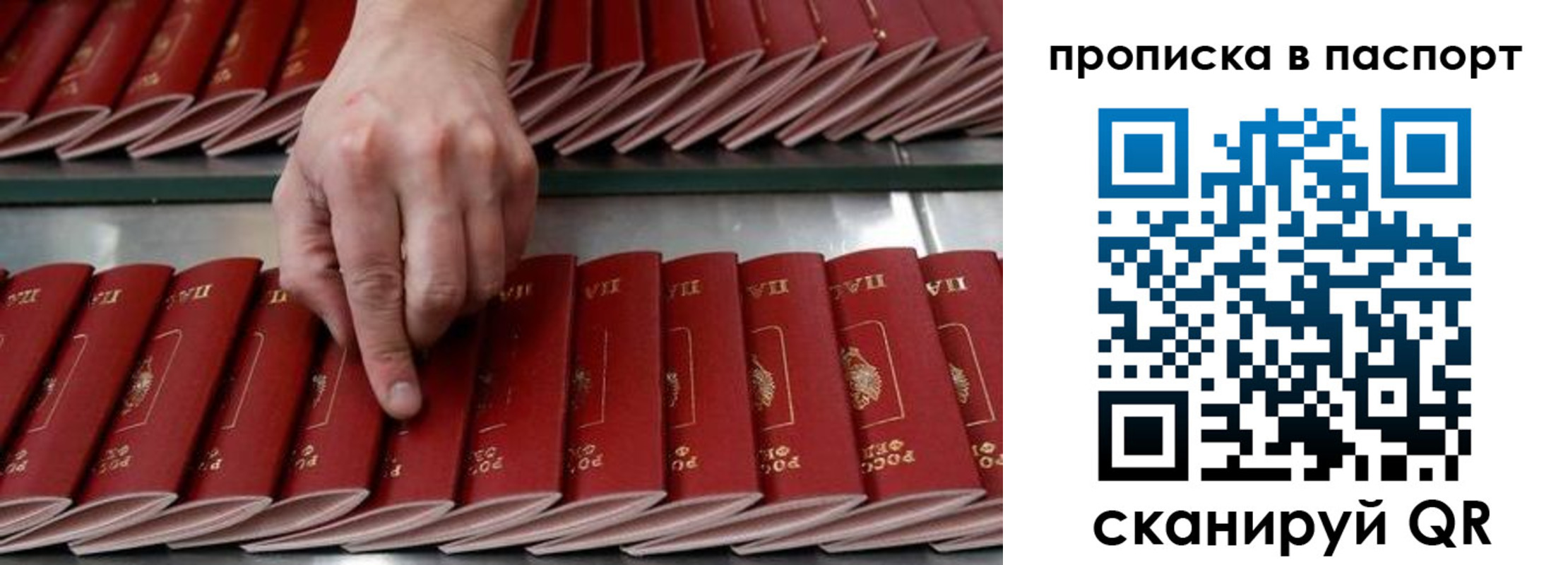 регистрация для школы в Кировграде